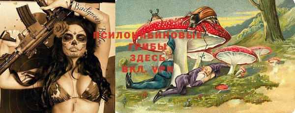 тгк Аркадак