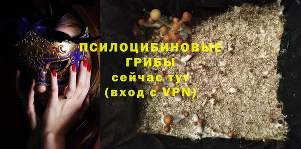 тгк Аркадак