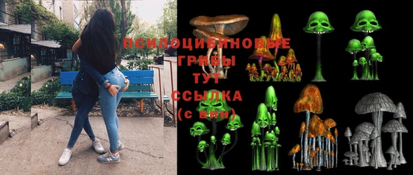 тгк Аркадак