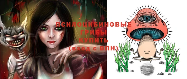 ECSTASY Алзамай
