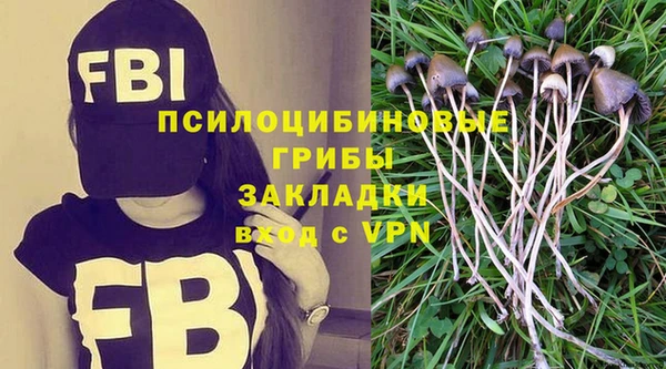 гашик Армянск